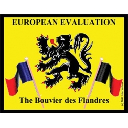 GWBdFC European Evaluation